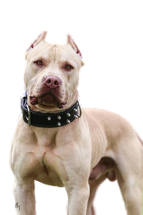 5ffcedfb807bb731db1bc96aef20d81f